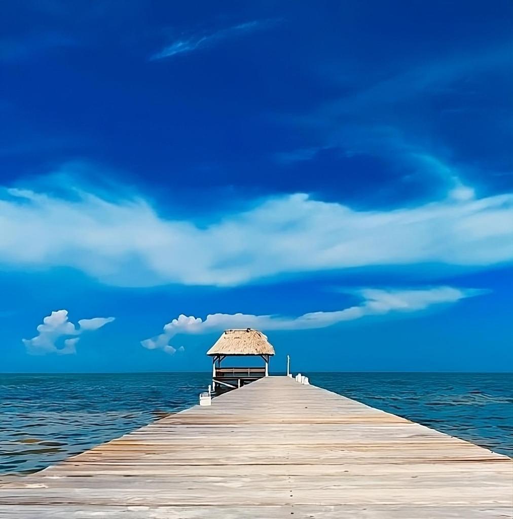 Villa Serenity San Pedro  Oda fotoğraf
