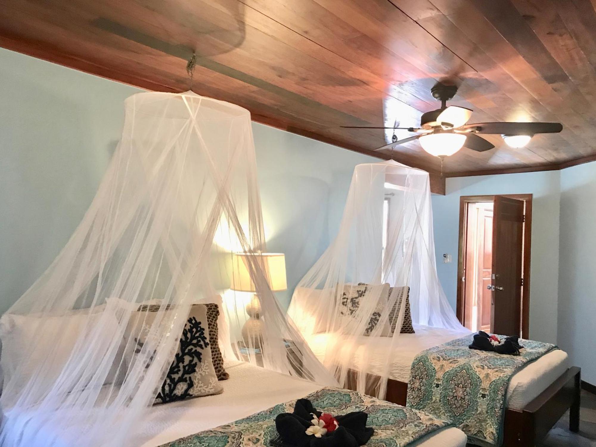 Villa Serenity San Pedro  Oda fotoğraf